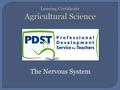 The Nervous System.  The function of the nervous system is to allow the animal to quickly detect, communicate and co- ordinate information about its.