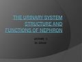 1 LECTURE - 1 Dr. Zahoor. Urinary System  Consists of Urine forming organs ○ kidneys Structures that carry urine from the kidneys to the outside for.