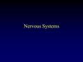 Nervous Systems. The Nervous System: Sends messages quickly but they don’t last long. Broken into two parts: Central Nervous System (CNS) –Brain and spinal.