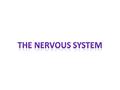 Detects changes in the body Make decisions Stimulate muscles or glands to respond Works by sending an electrical signal known as an action potential through.