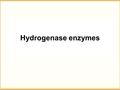 Hydrogenase enzymes. Hydrogenases Anaerobic bacteria: -production of H 2 during fermentation of sugars -the use of H 2 in the reduction of CO 2 to methane.