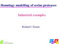 Homology modelling of serine proteases Roland J. Siezen Industrial examples.