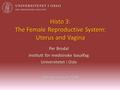 Histo 3: The Female Reproductive System: Uterus and Vagina Per Brodal Institutt for medisinske basalfag Universitetet i Oslo 9th Semester 2008.