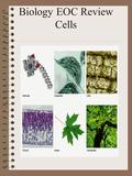 Biology EOC Review Cells. Science Methods Steps used to solve a problem Observation Questioning and stating problems Hypothesizing Experimenting – including.