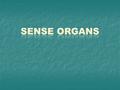 The Sense of Hearing Physical stimulus: sound waves Physical stimulus: sound waves Sound waves are periodic compressions of air, water or other media.