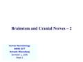 Brainstem and Cranial Nerves – 2 Human Neurobiology ANHB 2217 Avinash Bharadwaj Semester 1, 2006 Week 2.