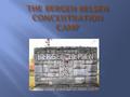 The Bergen Belsen concentration camp began as a prison camp for Prisoners of war. It was not like Auschwitz that had numerous gas chambers that killed.