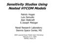 Sensitivity Studies Using Nested HYCOM Models 2004 Layered Ocean Model Users’ Workshop February 9-11, 2004 RSMAS, Miami, FL Patrick Hogan Luis Zamudio.