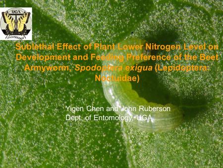 Sublethal Effect of Plant Lower Nitrogen Level on Development and Feeding Preference of the Beet Armyworm, Spodoptera exigua (Lepidoptera: Noctuidae) Yigen.