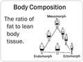 The ratio of fat to lean body tissue. Body Composition.