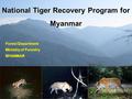 1 National Tiger Recovery Program for Myanmar Forest Department Ministry of Forestry MYANMAR Forest Department Ministry of Forestry MYANMAR.