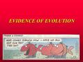 EVIDENCE OF EVOLUTION. THE FOSSIL RECORD Our best proof of the history of life on Earth Preserved remains of life buried in sediment may be preserved.