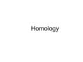 Homology. One of the supposed proofs of Macro Evolution is “homology.”