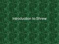 Introduction to Shrew. Bellwork: Questions to Answer: What do you know about Shakespeare? What have you read by Shakespeare? Was it easy or difficult?