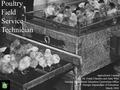 Poultry Field Service Technician Agricultural Careers By: Dr. Frank Flanders and Asha Wise Georgia Agricultural Education Curriculum Office Georgia Department.