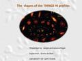 The shapes of the THINGS HI profiles Presented by : Ianjamasimanana Roger Supervisor : Erwin de Blok UNIVERSITY OF CAPE TOWN.