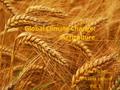 Global Climate Change: Agriculture Celia Fisher Mikaela Larson Pd. 1.