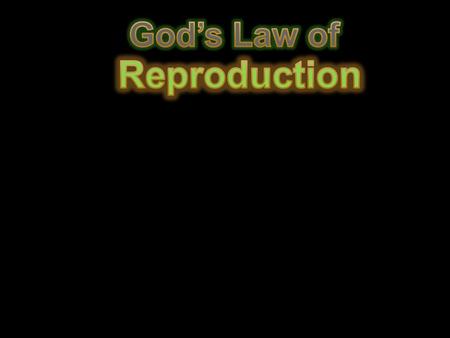 Genesis 1:11 “And God said, Let the earth bring forth grass, the herb yielding seed, and the fruit tree yielding fruit after his kind, whose seed is in.