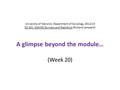 University of Warwick, Department of Sociology, 2012/13 SO 201: SSAASS (Surveys and Statistics) (Richard Lampard) A glimpse beyond the module… (Week 20)