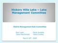 Hickory Hills Lake – Lake Management Committee Debris Management Sub-Committee Paul LawnMario Andella Dave MacDonaldDana Dudley March 18 th, 2009.