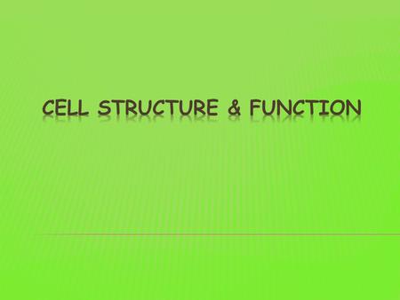  The cell theory is a fundamental concept in biology. It states:  All living things are composed of cells.  The cell is the basic structural unit of.