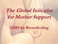 The Global Initiative for Mother Support GIMS for Breastfeeding.