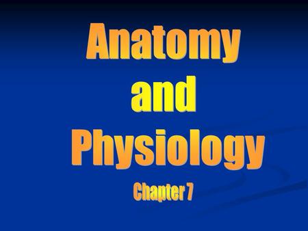 Skeletal System Bones are living organs made up of several different types of tissue Bone tissue Cartilage Dense connective tissue Blood Nervous tissue.