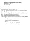 Protein-Nucleic Acid Interactions - part 1 Blackburn & Gait, Ch. 9 Neidle, Ch. 7 Possible forces used: Define persistence length of nucleic acid Know four.