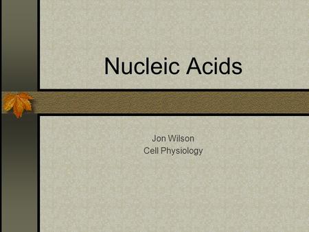 Nucleic Acids Jon Wilson Cell Physiology. Structure of DNA DNA is a double helix made of complimentary antiparallel strands The backbone is constructed.