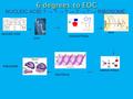 NUCLEIC ACID ? → ? → ? → ? → ? → RIBOSOME NUCLEIC ACID RIBOSOME → DNA RNA NUCLEOTIDES AMINO ACIDS → → → → → PROTEINS.