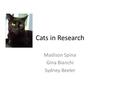 Cats in Research Madison Spina Gina Bianchi Sydney Beeler.