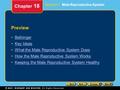 Preview Bellringer Key Ideas What the Male Reproductive System Does How the Male Reproductive System Works Keeping the Male Reproductive System Healthy.