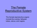 The Female Reproductive System The female reproductive organs include the ovaries, fallopian tubes, uterus, and vagina.