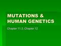 MUTATIONS & HUMAN GENETICS Chapter 11.3, Chapter 12.