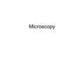 Microscopy. Outline of the day 1.Turn in your lab reports at the front –More than 10 minutes late = bad 2.Any questions on last week’s lab? 3.Quiz 4.Introduction.