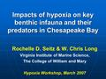 Impacts of hypoxia on key benthic infauna and their predators in Chesapeake Bay Rochelle D. Seitz & W. Chris Long Virginia Institute of Marine Science,