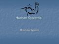 Human Systems Muscular System. Definition: Definition: All the muscles in your body All the muscles in your body Muscles: Muscles: Body tissue that can.