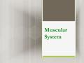 Muscular System. What is the muscular system?  The muscular system creates bodily movement, maintains posture & produces heat.