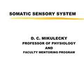 SOMATIC SENSORY SYSTEM D. C. MIKULECKY PROFESSOR OF PHYSIOLOGY AND FACULTY MENTORING PROGRAM.