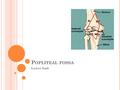 P OPLITEAL FOSSA Lower limb. P OPLITEAL FOSSA The popliteal fossa is a diamond-shaped intermuscular space situated at the back of the knee The popliteal.