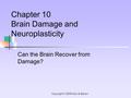 Copyright © 2009 Allyn & Bacon Can the Brain Recover from Damage? Chapter 10 Brain Damage and Neuroplasticity.