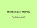 The Biology of Memory Psychology, Unit 5 Today’s Objectives 1.Define consolidation 2.Be able to answer “How are memories formed?” 3.Know how hormones.