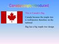 This is Canada’s flag Canada because the maple tree is well-known therefore on the national flag has a big maple tree design.