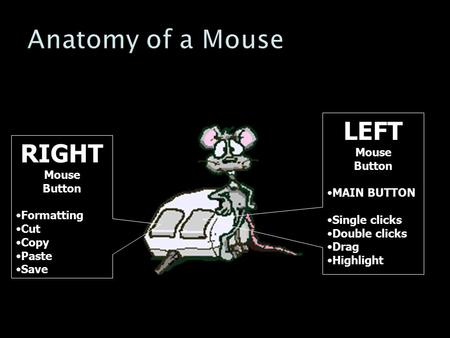 RIGHT Mouse Button Formatting Cut Copy Paste Save LEFT Mouse Button MAIN BUTTON Single clicks Double clicks Drag Highlight.