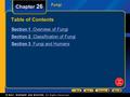 Fungi Chapter 26 Table of Contents Section 1 Overview of Fungi Section 2 Classification of Fungi Section 3 Fungi and Humans.