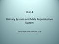 Unit 4 Urinary System and Male Reproductive System Cheryl Kester, MSN, MHA, RN, CCM.