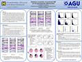 Statistical properties of southward IMF and its geomagnetic effectiveness X. Zhang, M. B. Moldwin Department of Atmospheric, Oceanic, and Space Sciences,