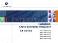 Cross-Enterprise Integration 吳大松 R88741002 張敏琪 R88741003 張欽宗 R88741012 李孟娜 R88741040 黃素秋 R88741049 指導 郭瑞祥教授.