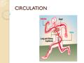 CIRCULATION. Blood Plasma Blood cells Red blood cells White blood cells Granulocytes Neutrophils Eosinophils Basophils Agranulocytes Lymphocytes Monocytes.