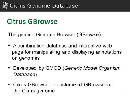 The generic Genome Browser (GBrowse) A combination database and interactive web page for manipulating and displaying annotations on genomes Developed by.